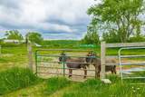 1383 Boyle Road - Photo 41