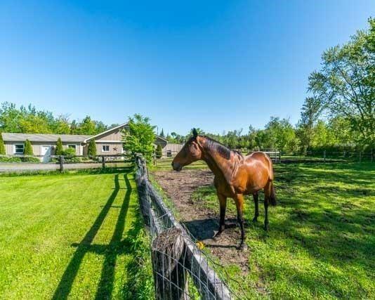 17251 Old Simcoe Rd - Photo 1