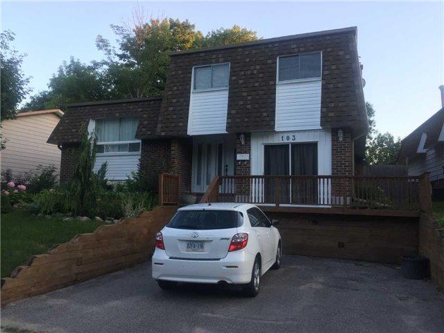 103 Springdale Dr - Photo 1