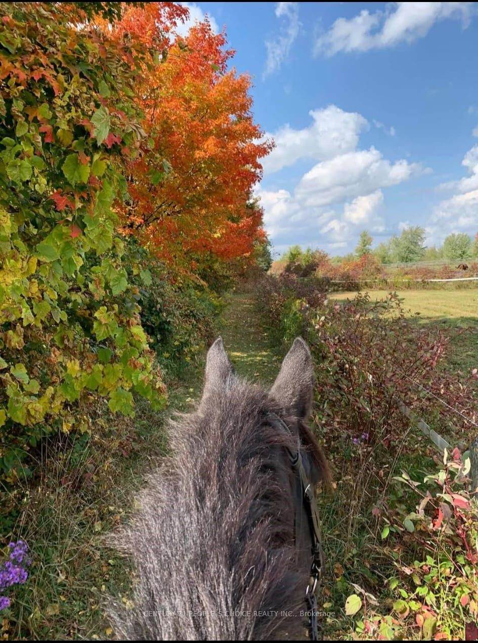 18743 St Andrews Road - Photo 1