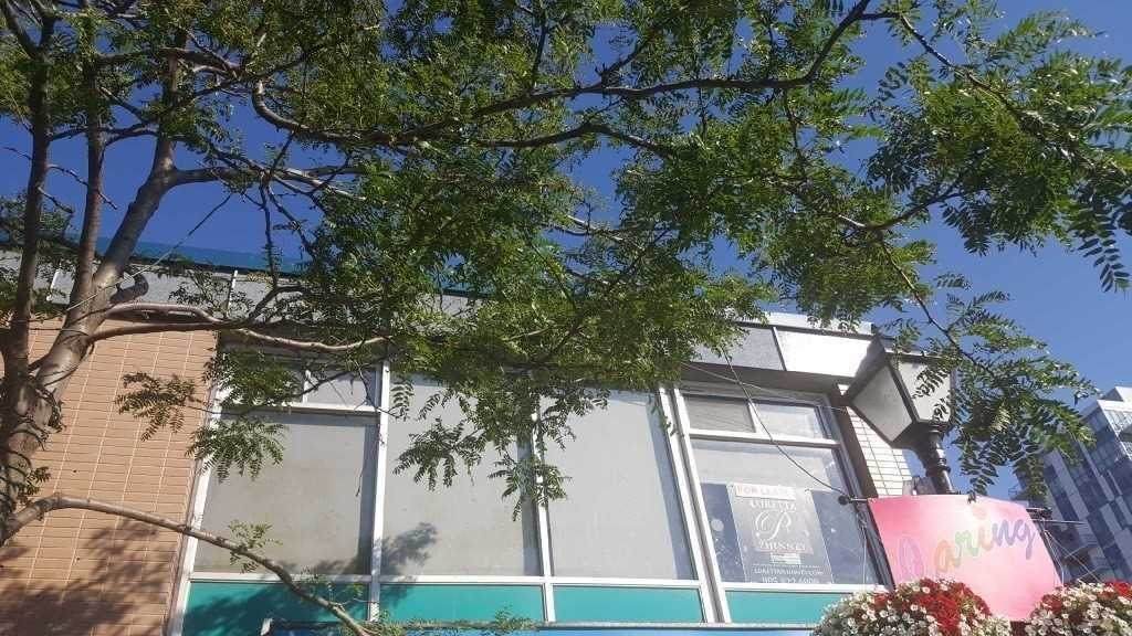 112 Lakeshore Rd - Photo 1