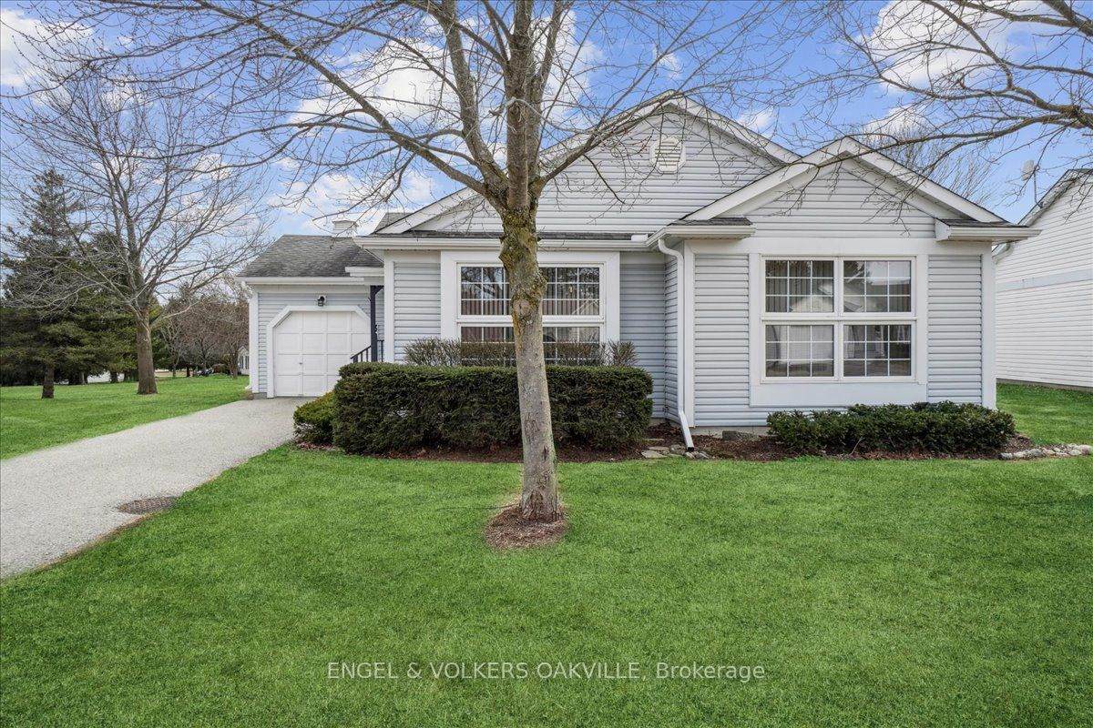 36 White Bark Way - Photo 1