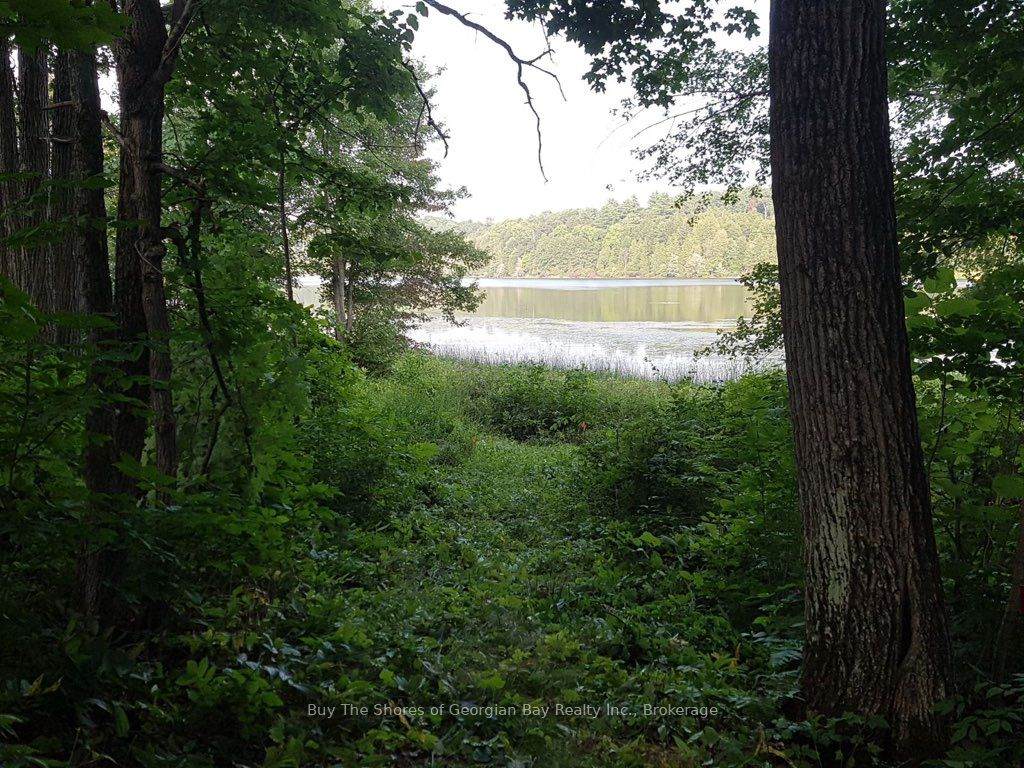 1088 Ashgrove Trail - Photo 1