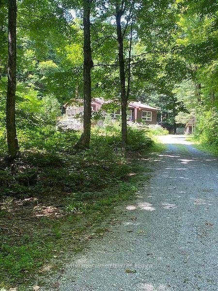 119 Acorn Road - Photo 1