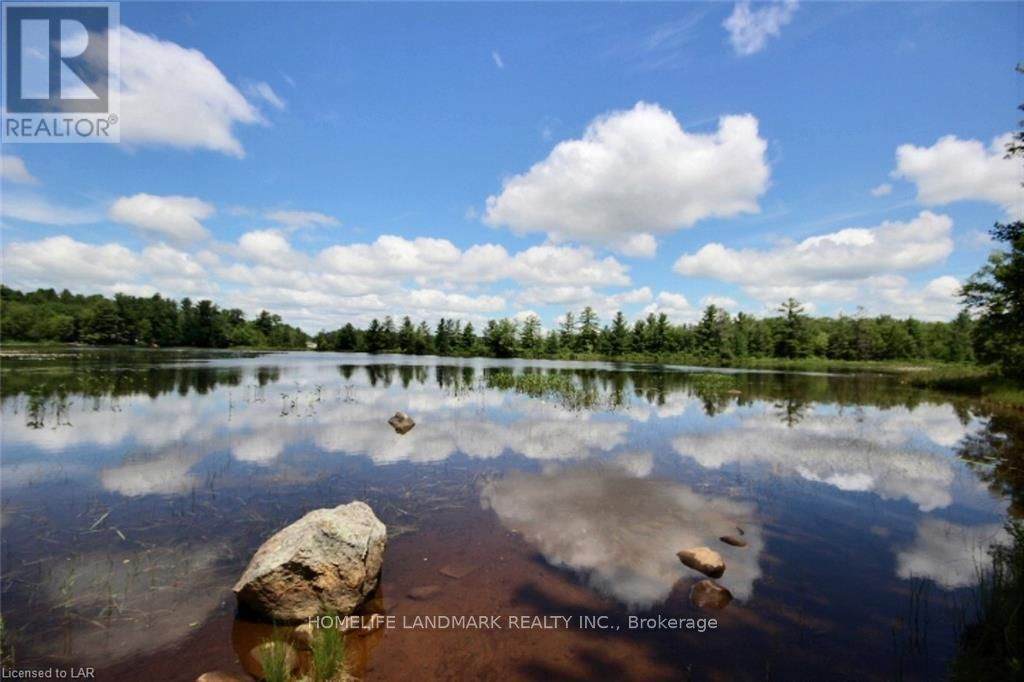 1137 118 Highway - Photo 1