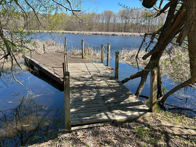 21 Storms Lane - Photo 1
