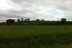 1408 County 10 Rd - Photo 1