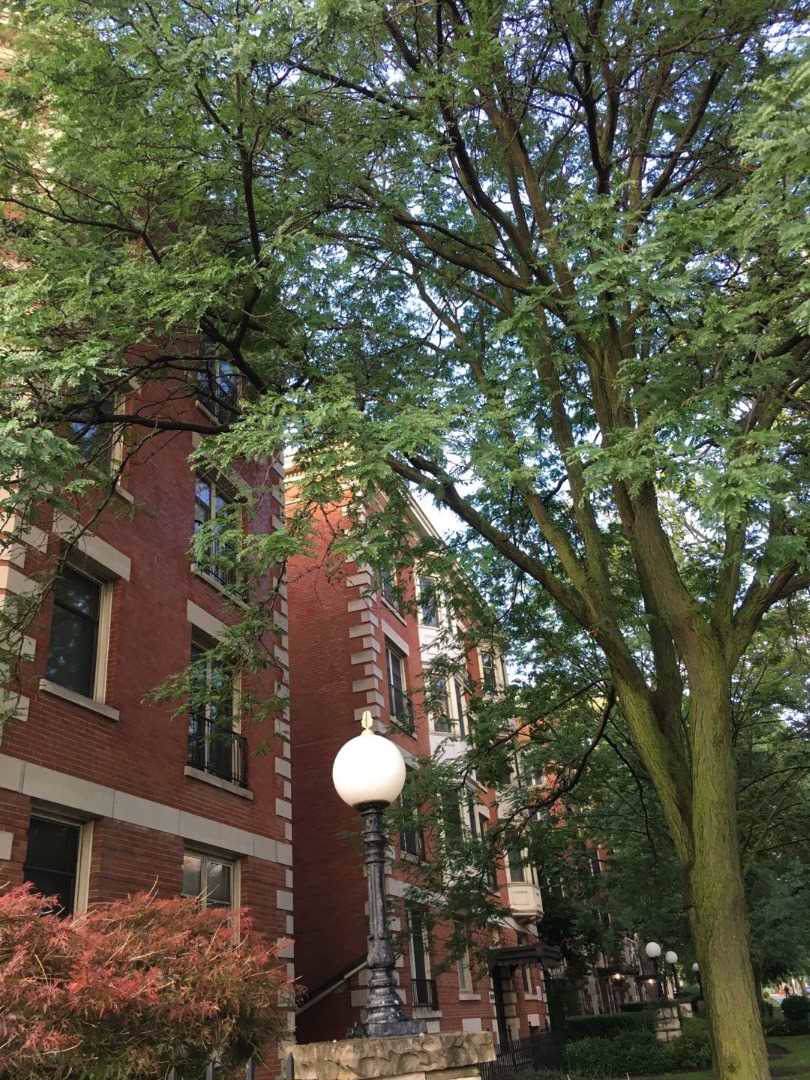 460 Wellington St - Photo 1