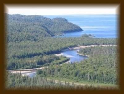 1 Campsite Rd - Photo 1