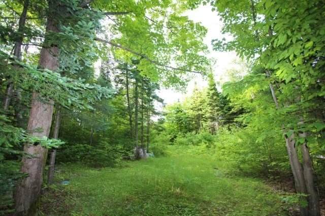 60 Cloverhill Rd - Photo 1