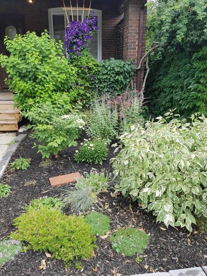 37 Kingston Rd - Photo 1