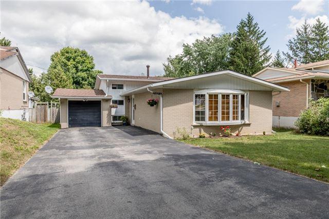 67 Marion St - Photo 1