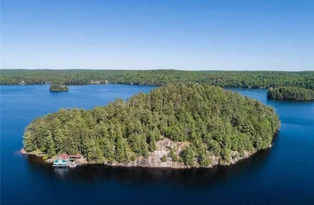 100 Crown Island - Photo 1