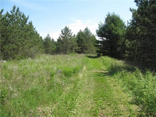 5529 Concession 4 Rd - Photo 1