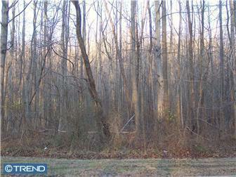 L-50 Pittsfield Street - Photo 1
