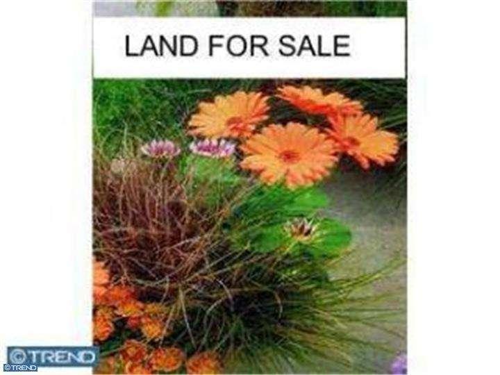 L: 71 Dutch Mill Road - Photo 1