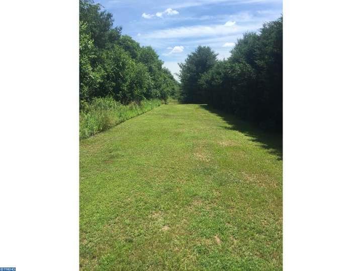 826 Cox Road - Photo 1