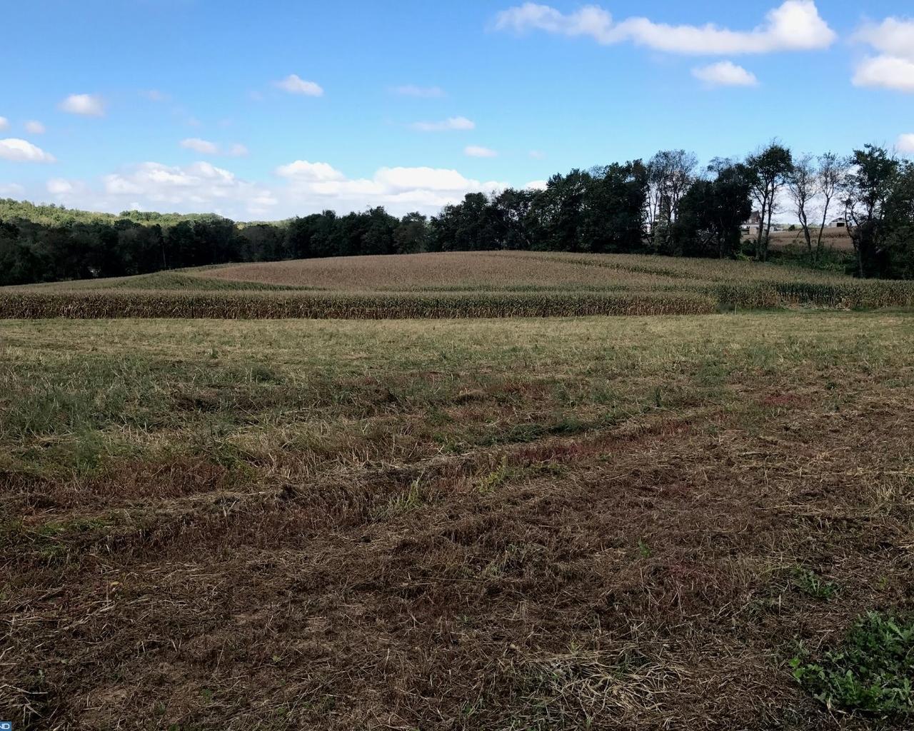 331 Duck Farm Road - Photo 1