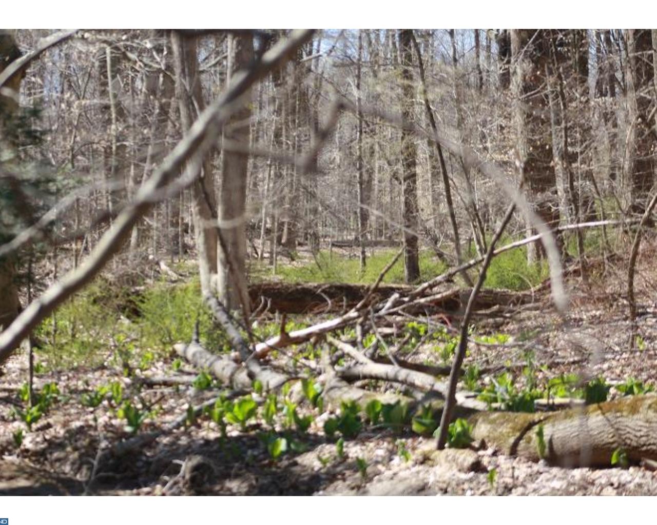 LOT 5 Mill Road - Photo 1
