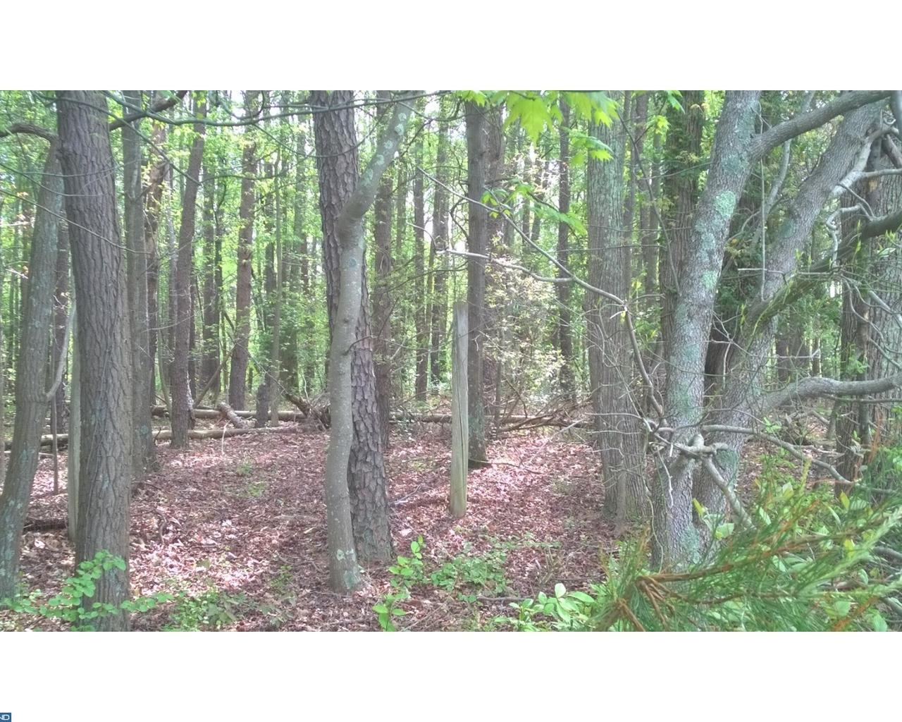 L:30.02 Mickels Mill Road - Photo 1