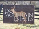 Lot 16 Turkey Trail - Photo 2