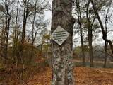 Lot 156 Lookout Dam Road - Photo 6