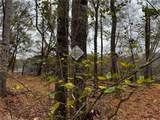 Lot 155 Lookout Dam Road - Photo 4