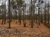 Lot 154 Lookout Dam Road - Photo 4