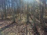 406 Noralin Drive - Photo 11