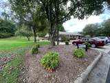 .58 Newsome Street - Photo 4