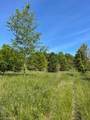 4000 Old Lexington Road - Photo 5