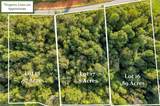 Lot 17 Regal Oaks Drive - Photo 4