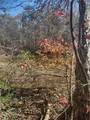 Portion of 1790 Mallard Lakes Drive - Photo 2