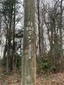 Lot 12 Pulco Lane - Photo 7