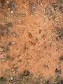 Lot 12 Pulco Lane - Photo 8