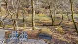 128 Golden Trout Drive - Photo 43