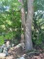 0 Julia Avenue - Photo 7