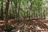 xx 44.93 Acres Stardust Trail - Photo 10