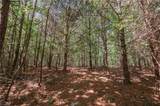 xx 44.93 Acres Stardust Trail - Photo 11