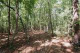 xx 44.93 Acres Stardust Trail - Photo 12