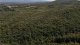 xx 44.93 Acres Stardust Trail - Photo 13