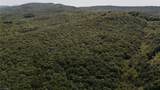 xx 44.93 Acres Stardust Trail - Photo 14