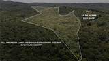 xx 44.93 Acres Stardust Trail - Photo 2