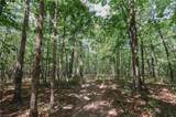 xx 44.93 Acres Stardust Trail - Photo 23