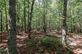xx 44.93 Acres Stardust Trail - Photo 24