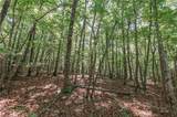 xx 44.93 Acres Stardust Trail - Photo 27