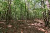 xx 44.93 Acres Stardust Trail - Photo 28