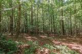 xx 44.93 Acres Stardust Trail - Photo 29