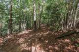 xx 44.93 Acres Stardust Trail - Photo 33