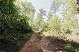 xx 44.93 Acres Stardust Trail - Photo 7